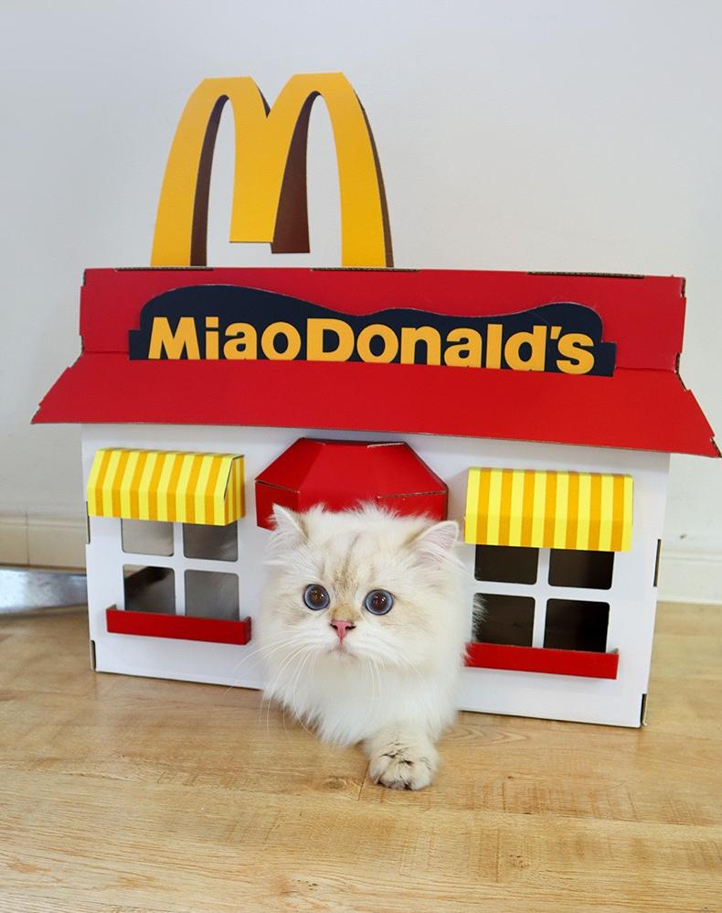 MiaoDonald's Cat Scratcher