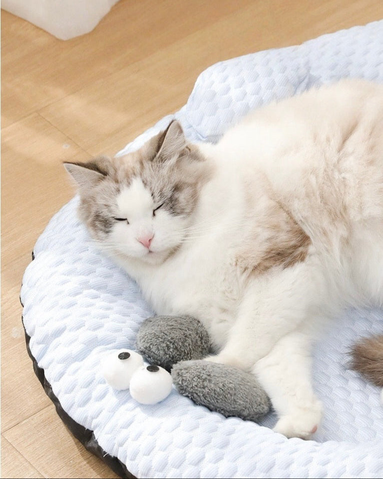 Seal Styled Cooling Cat Bed