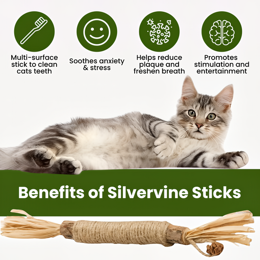 Natural Silvervine Dental Sticks| Catmint Silvervine Blend Sticks