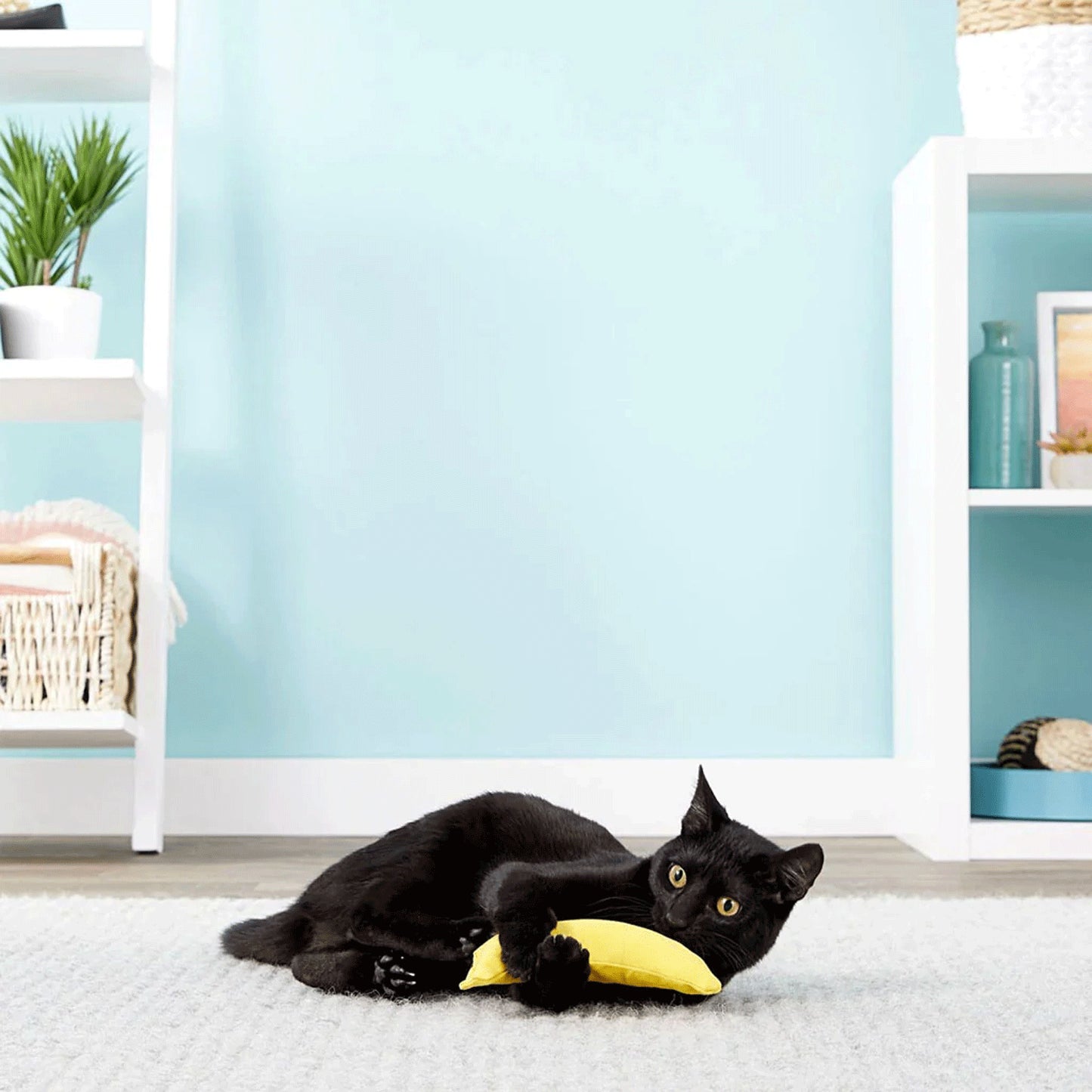 Organic Catnip Infused Banana Toy for Cats