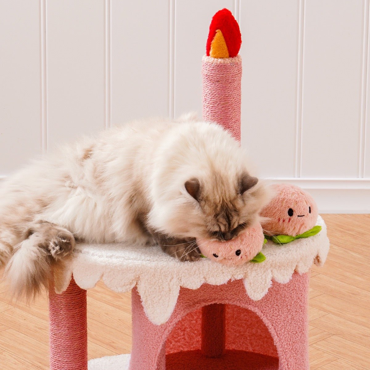 Birthday Cake Cat Tree - PawPaw Palace -