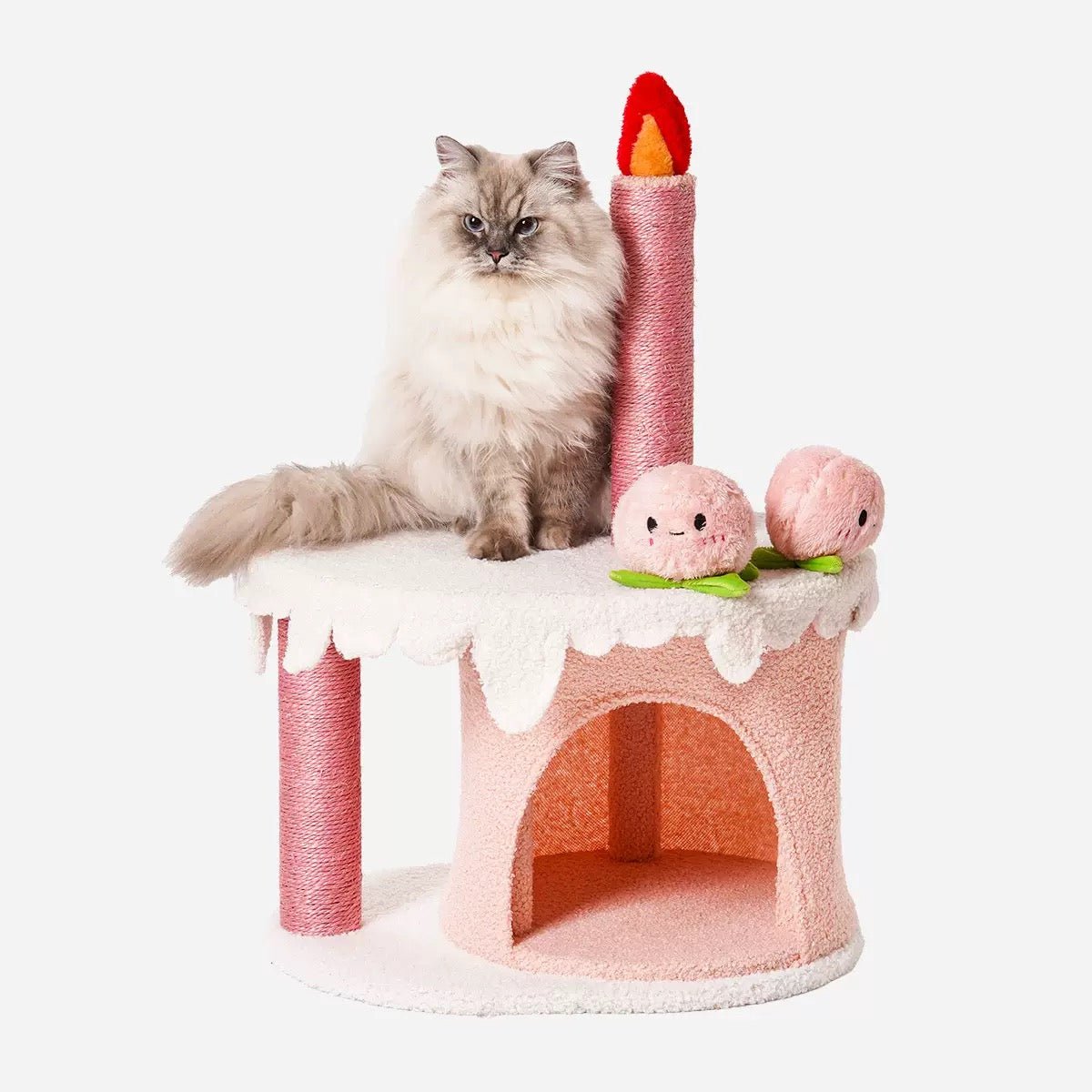 Birthday Cake Cat Tree - PawPaw Palace -