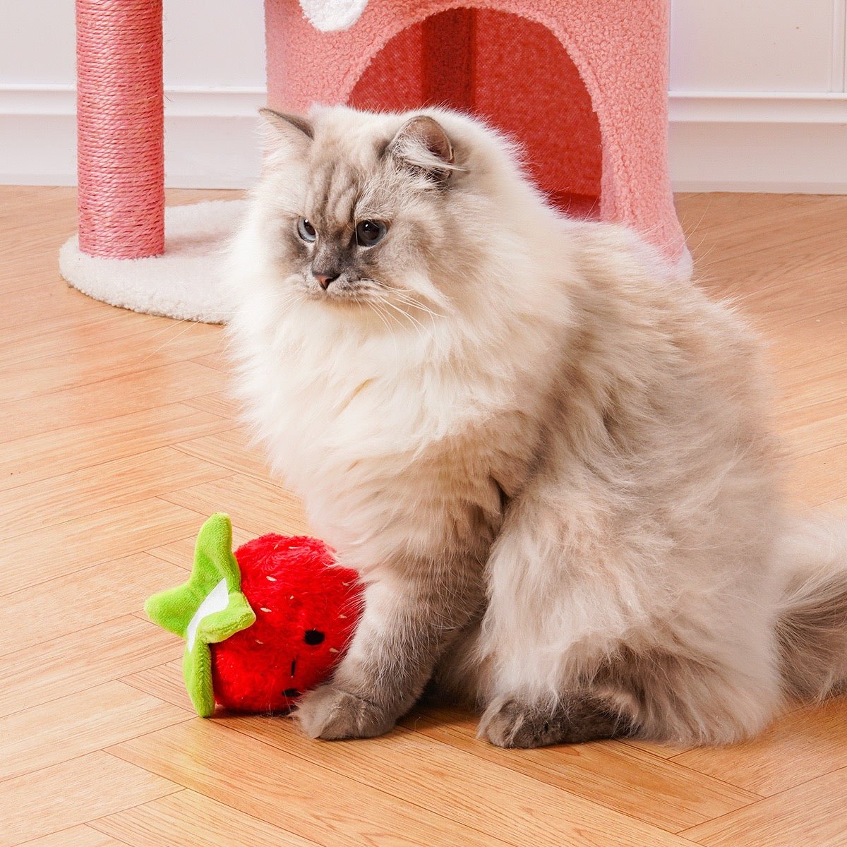 Birthday Cake Cat Tree - PawPaw Palace -