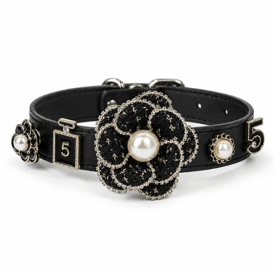 black leather dog collar with snap-on charms- PawPaw Palace -