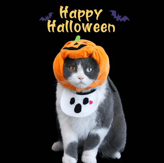 Halloween Pumpkin Hat & Ghost Bib Set for Cats and Dogs - PawPaw Palace -