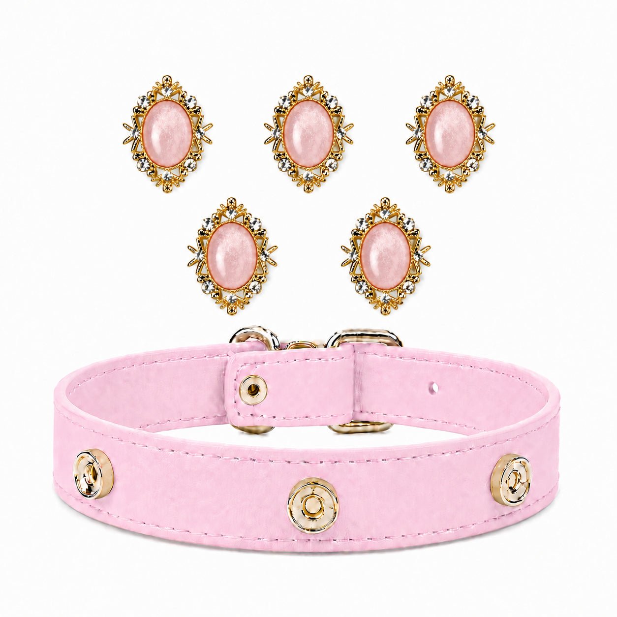 Interchangeable Dog Collar Charm Bundle - PawPaw Palace -