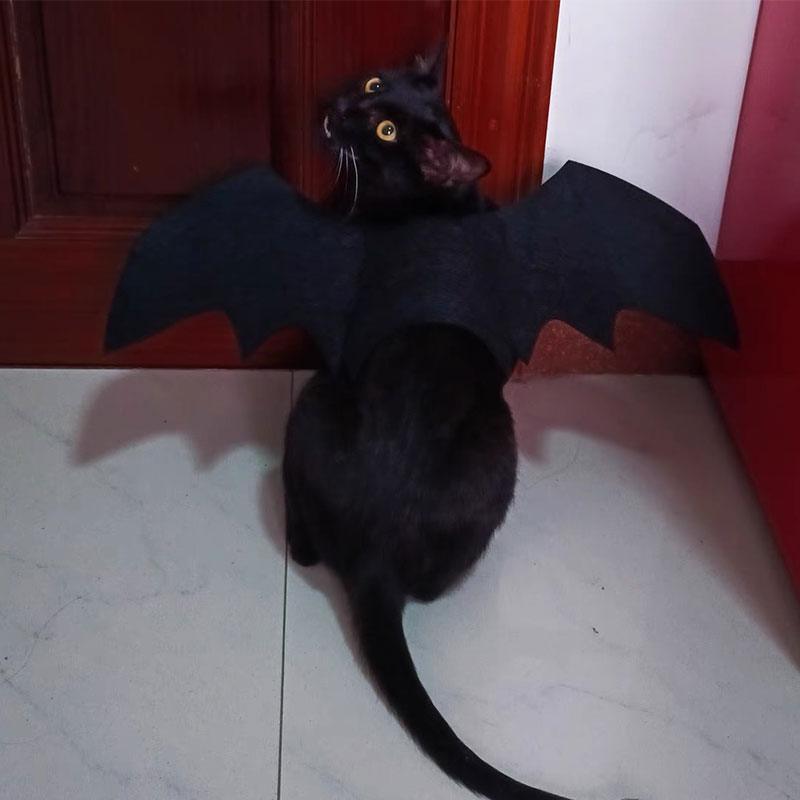 Pet Bat Wing Cosplay Halloween 3 Color Costume Props - PawPaw Palace -