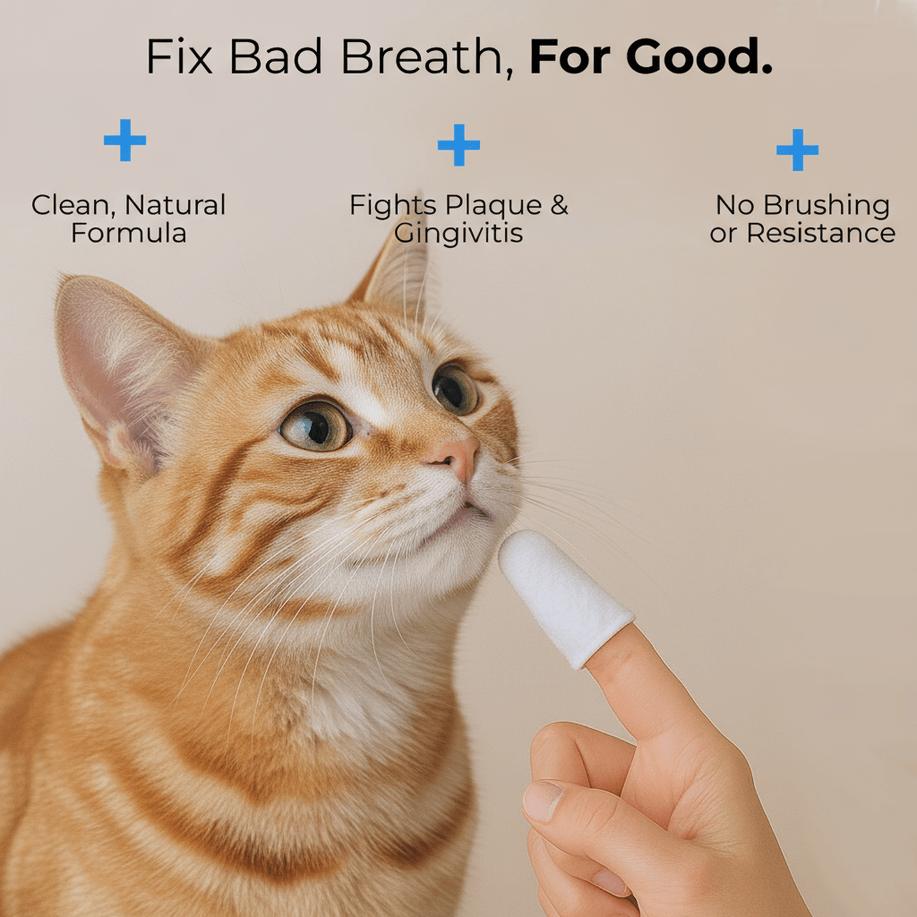 PetSmile Natural Dental Finger Pads - PawPaw Palace -