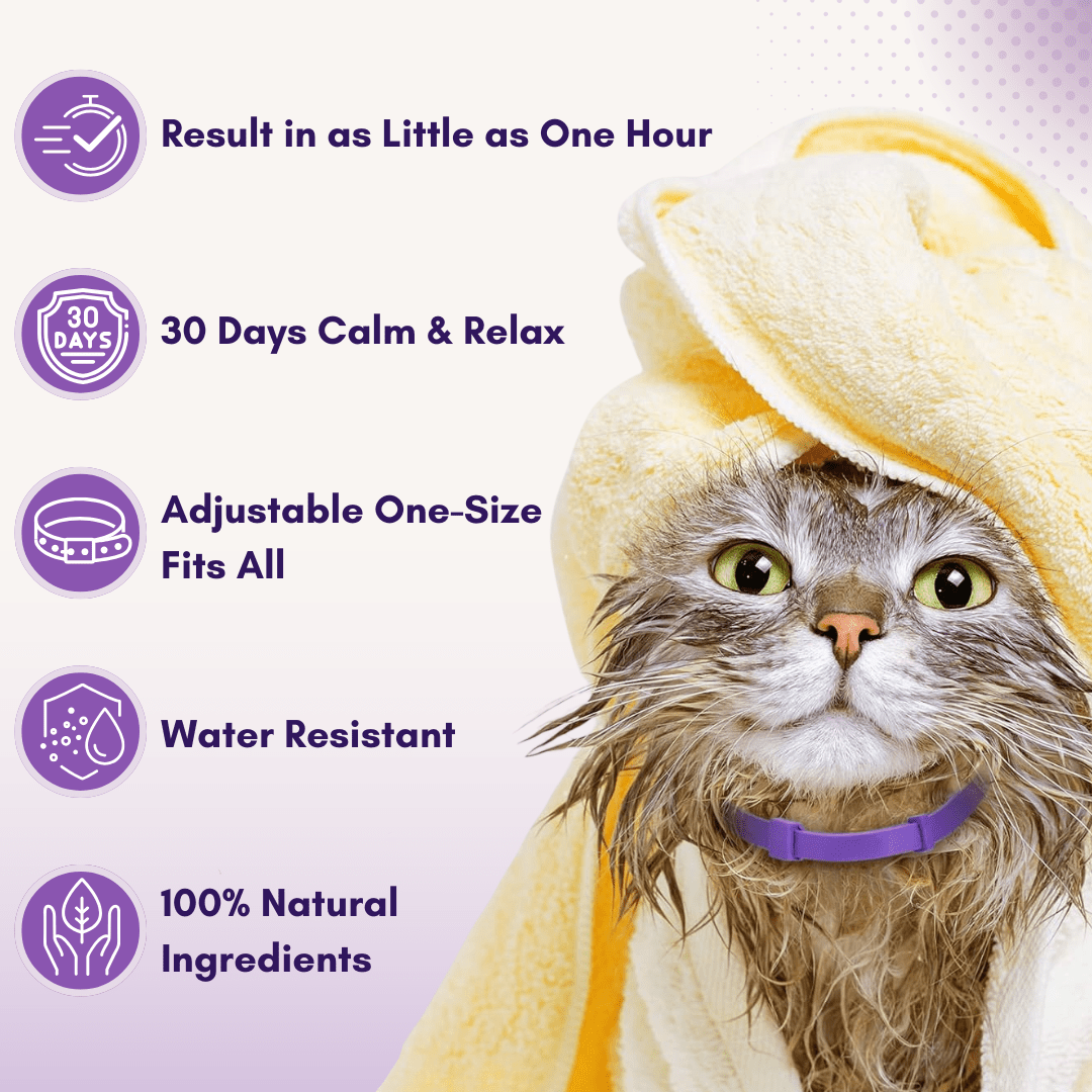 Pheromones Cat Calming Collar - PawPaw Palace -