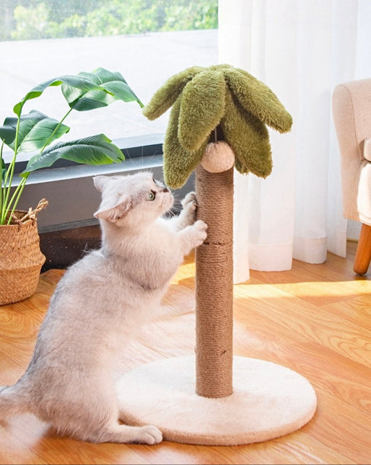 Coconut Palm Cat Tree