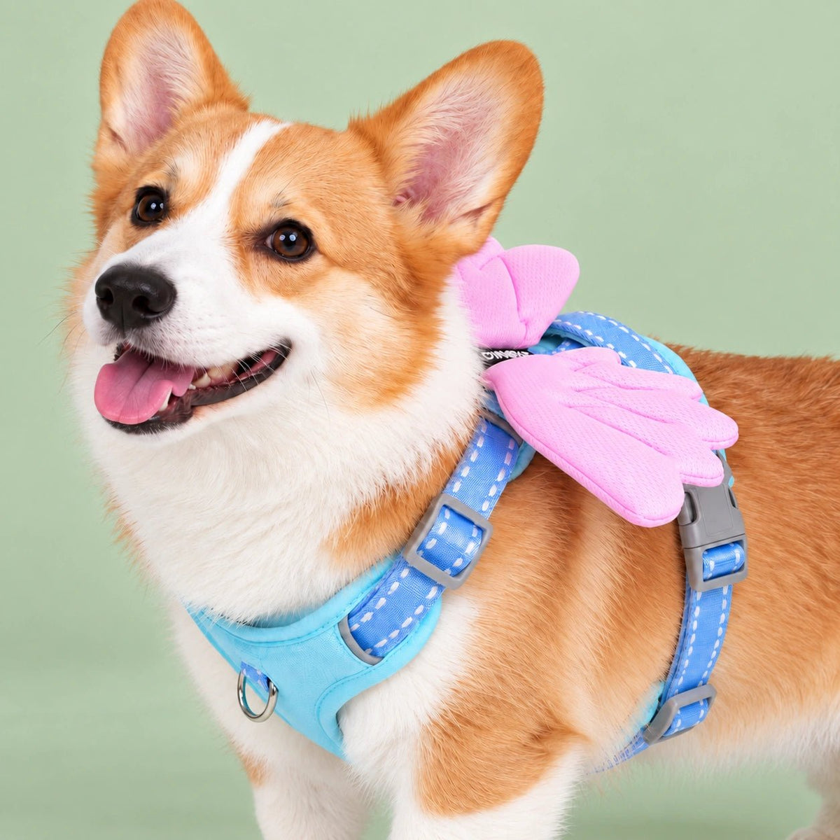3D Glow Angel Wing Dog Harness & Leash Set - PawPaw Palace - 