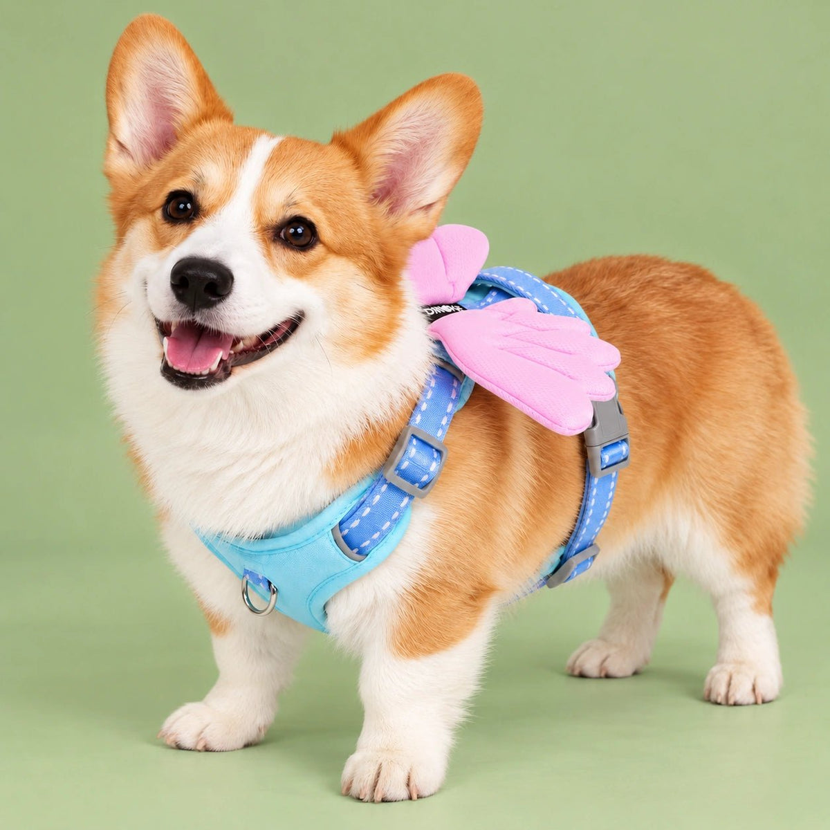 3D Glow Angel Wing Dog Harness & Leash Set - PawPaw Palace - 