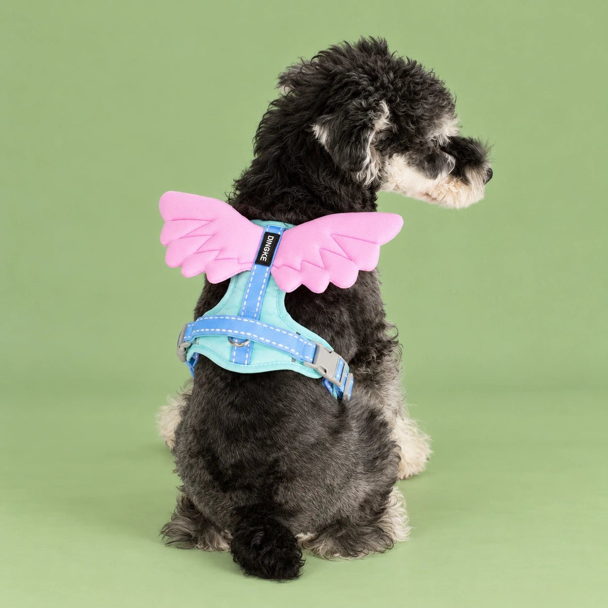 3D Glow Angel Wing Dog Harness & Leash Set - PawPaw Palace - 