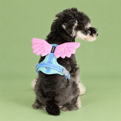3D Glow Angel Wing Dog Harness & Leash Set - PawPaw Palace - 