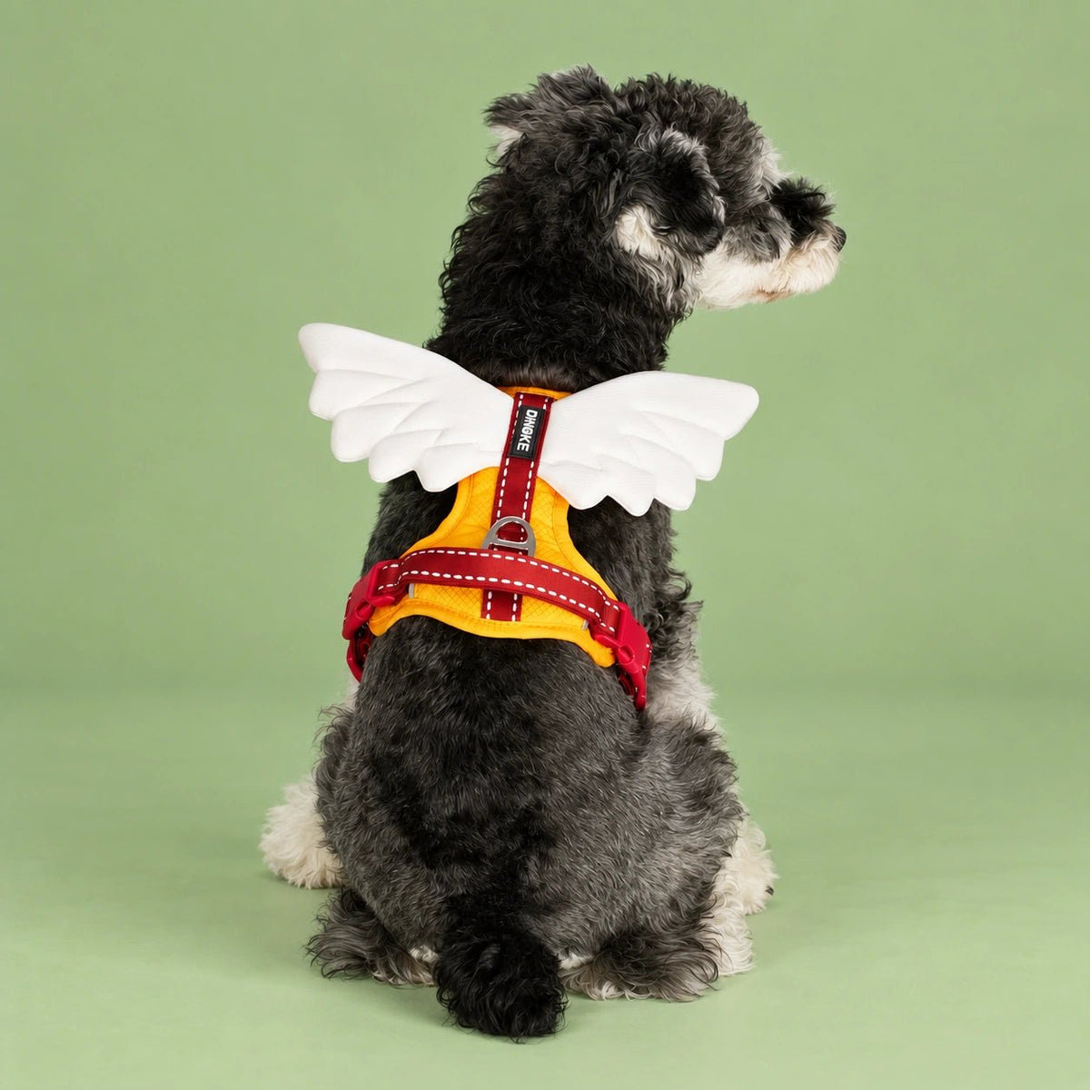 3D Glow Angel Wing Dog Harness & Leash Set - PawPaw Palace - 