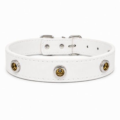 Interchangeable Charm Collar Base