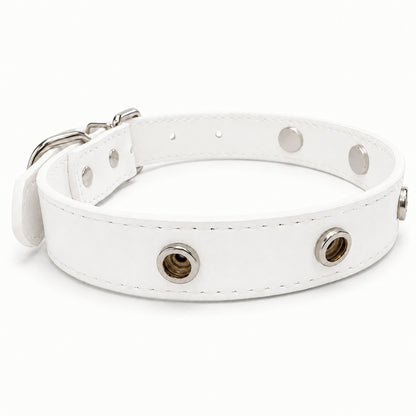 Interchangeable Charm Collar Base