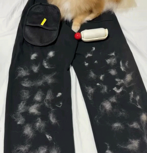 The Magic Hair Eraser Glove™ - Buy 1 Get 1 Free - PawPaw Palace -