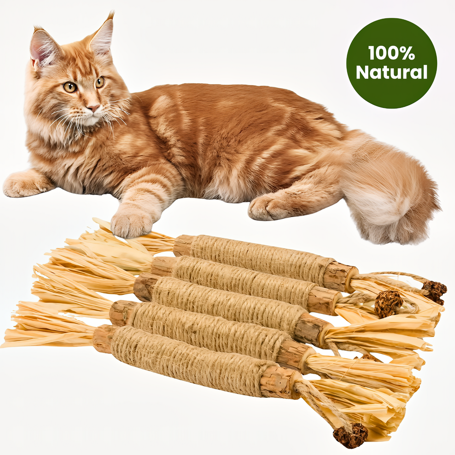 Natural Silvervine Dental Sticks| Catmint Silvervine Blend Sticks