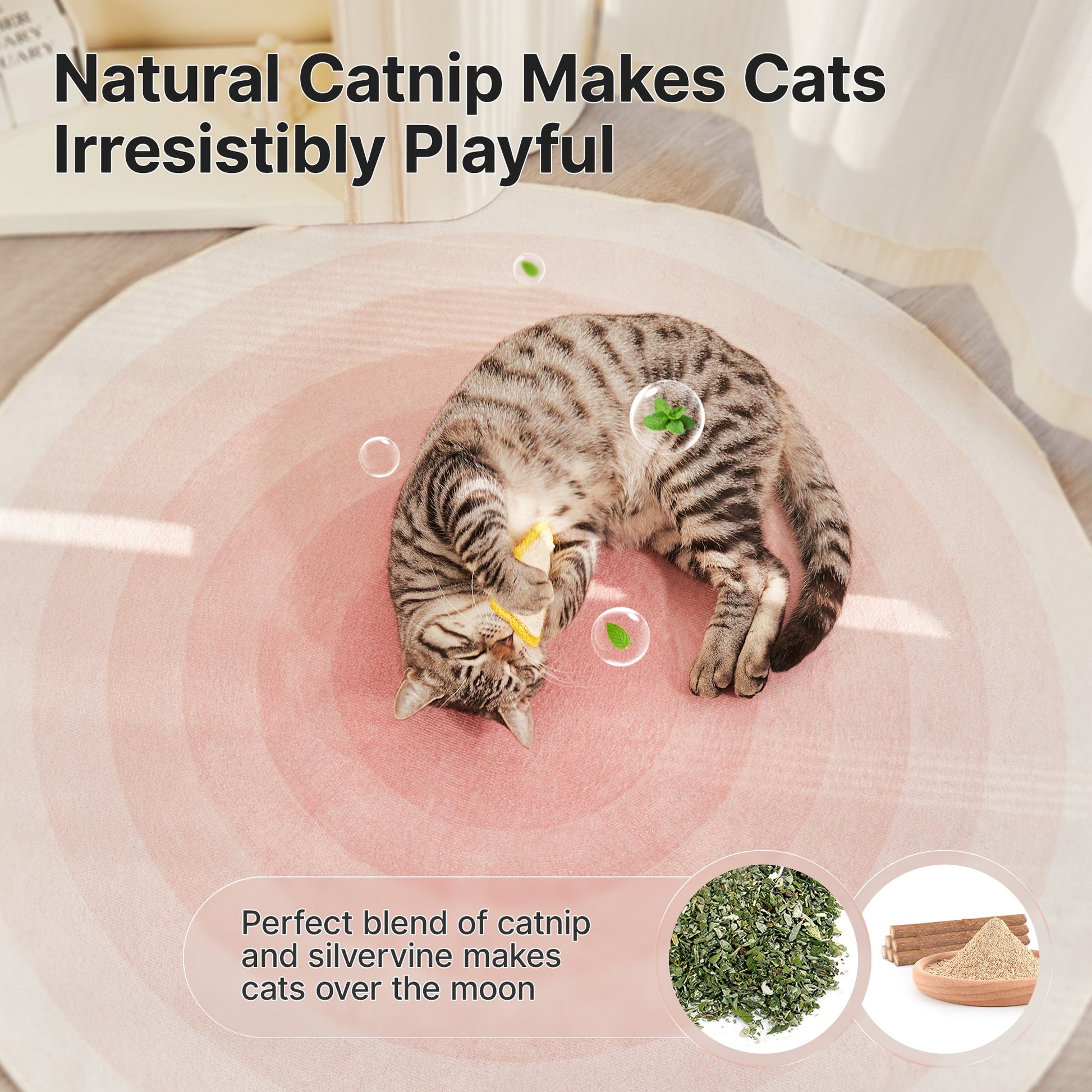 PawPawPalaceCatLoofaToys04