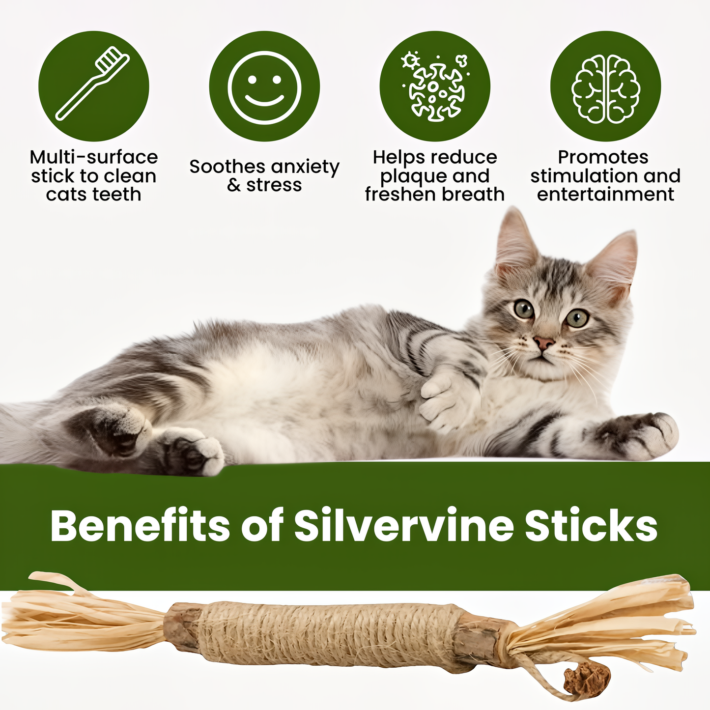 Natural Silvervine Dental Sticks| Catmint Silvervine Blend Sticks