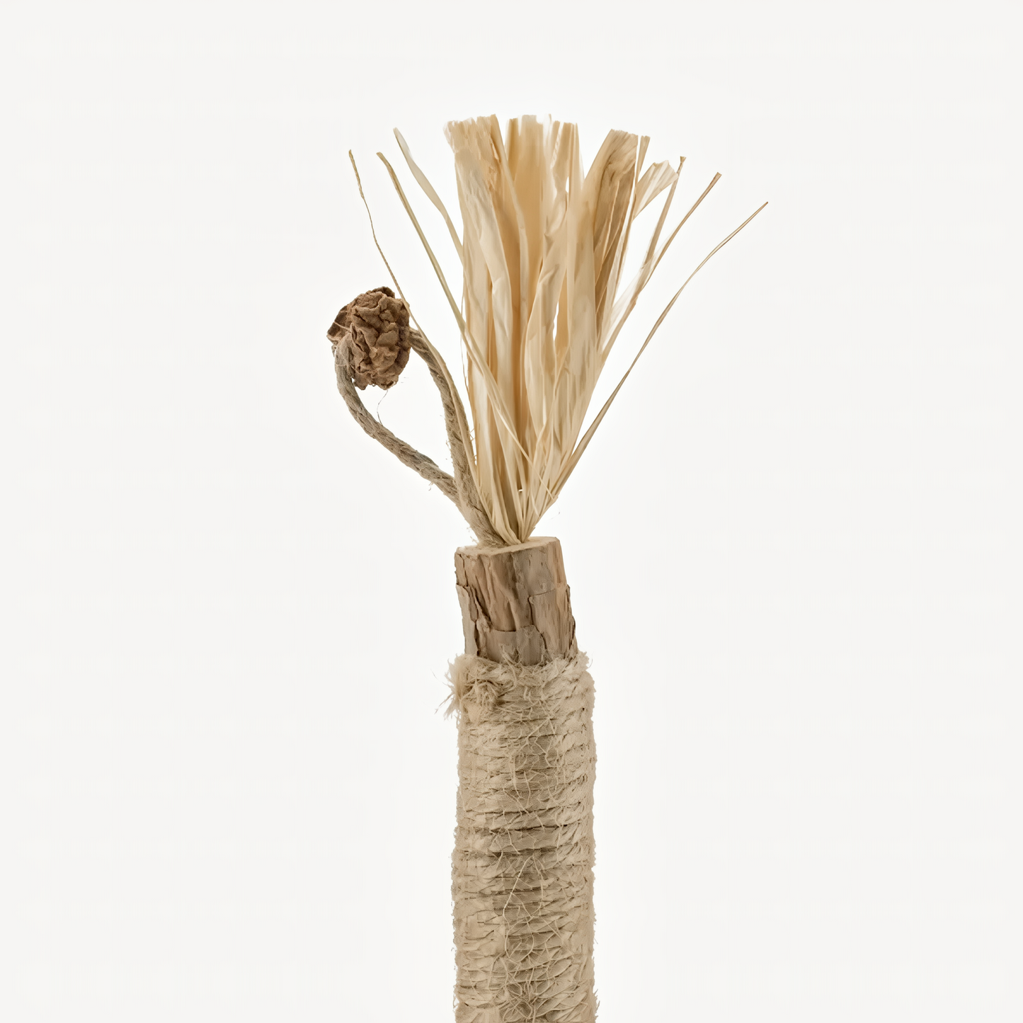 Natural Silvervine Dental Sticks| Catmint Silvervine Blend Sticks