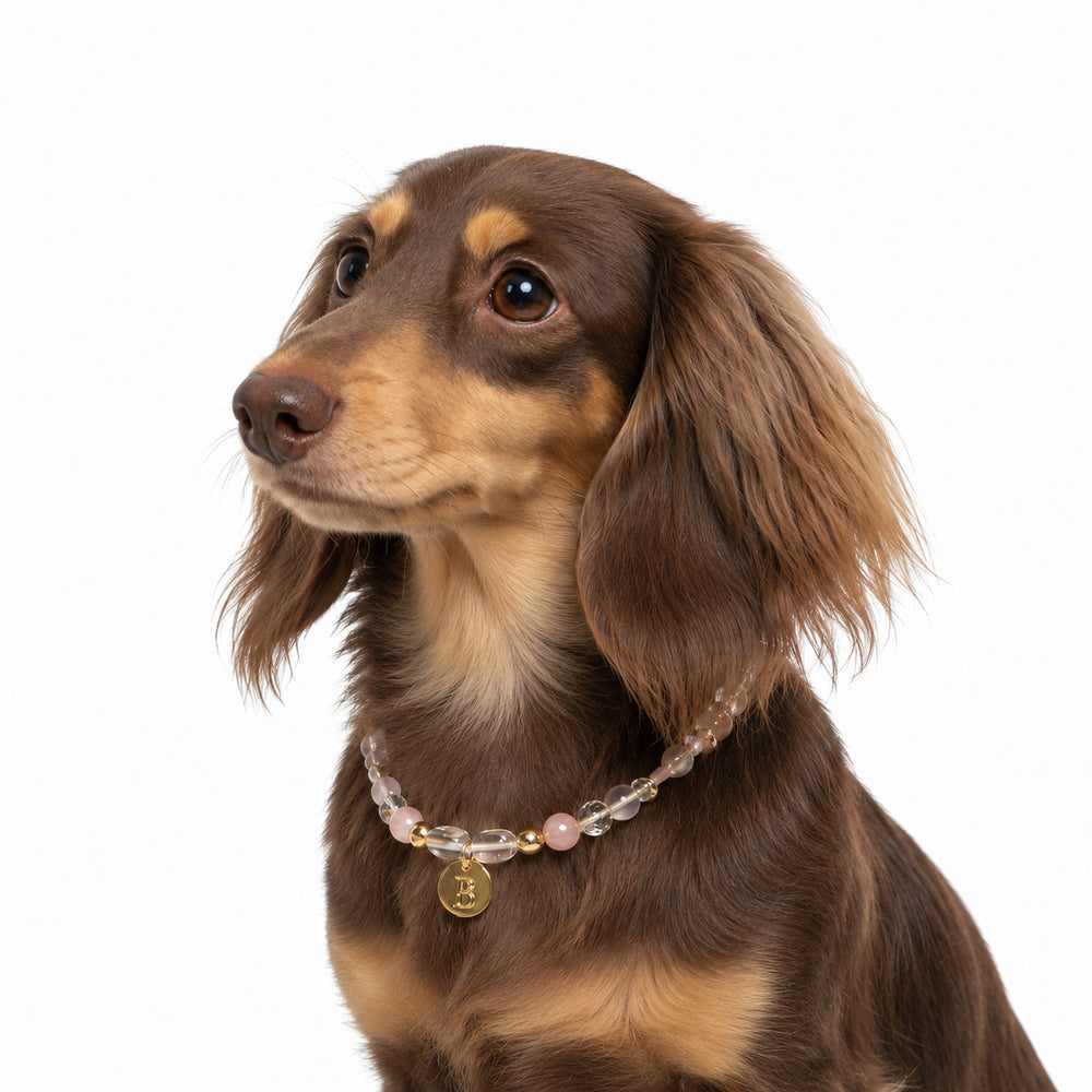 Pet Crystal