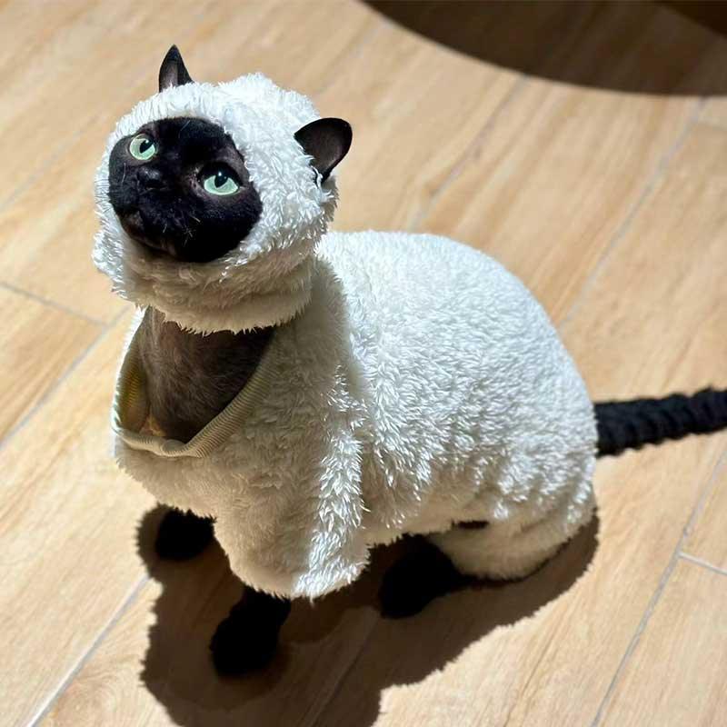 Funny Sheep Costume Hairless Cat Halloween Clothes - PawPaw Palace - 