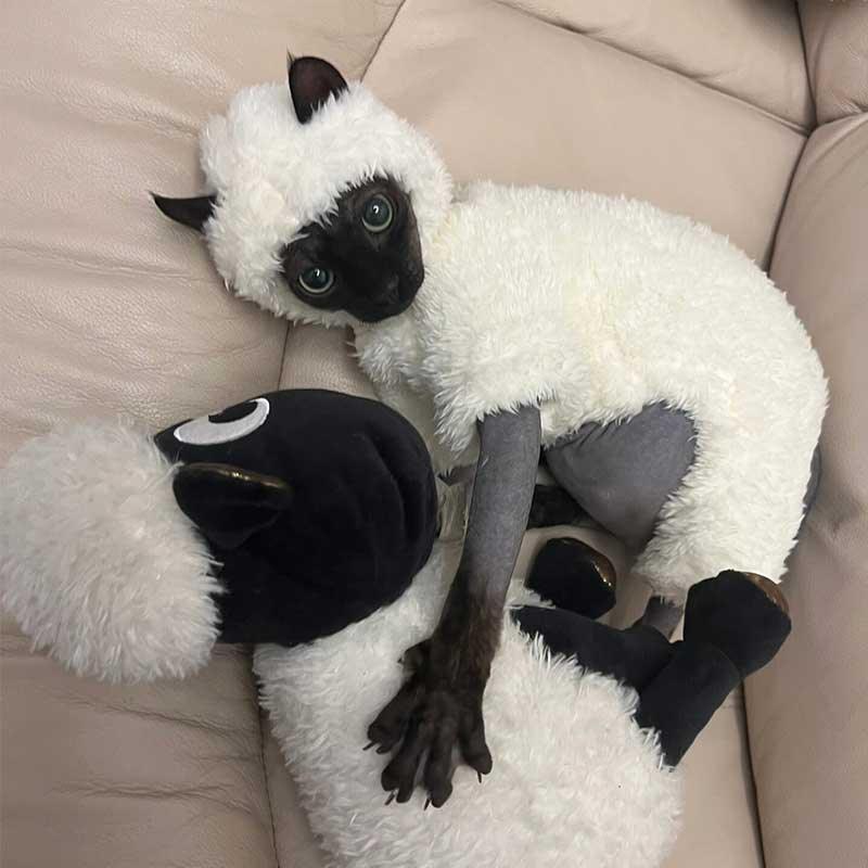 Funny Sheep Costume Hairless Cat Halloween Clothes - PawPaw Palace - 
