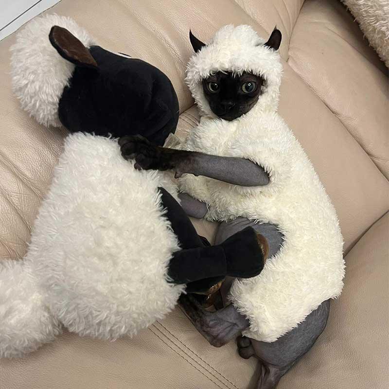 Funny Sheep Costume Hairless Cat Halloween Clothes - PawPaw Palace - 