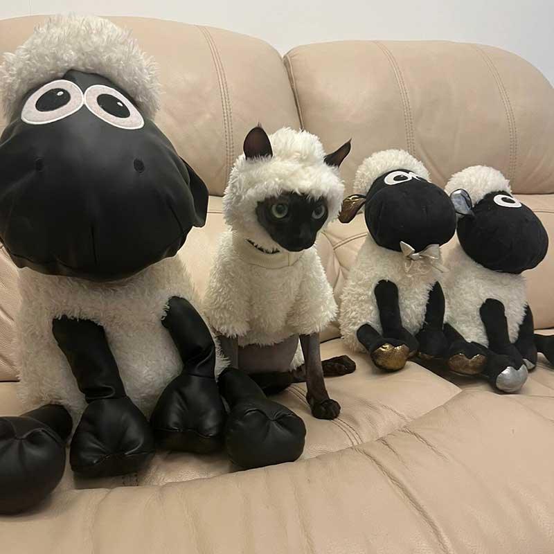 Funny Sheep Costume Hairless Cat Halloween Clothes - PawPaw Palace - 