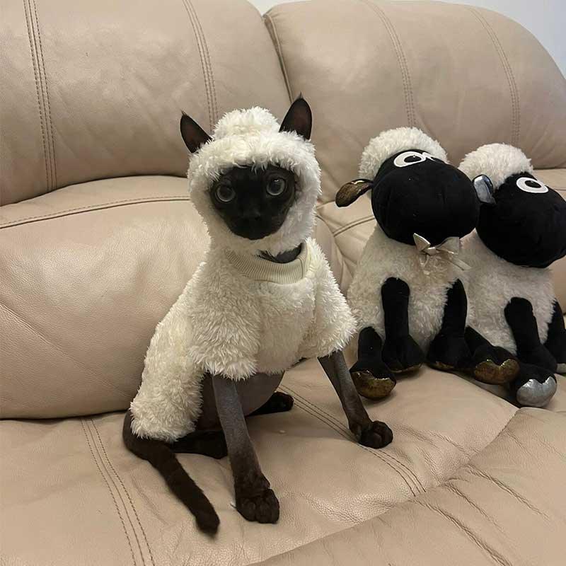 Funny Sheep Costume Hairless Cat Halloween Clothes - PawPaw Palace - 