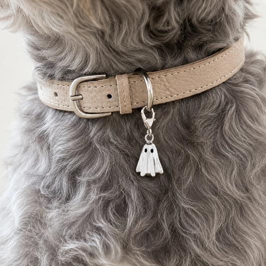 Ghost Silver Charm - PawPaw Palace - 