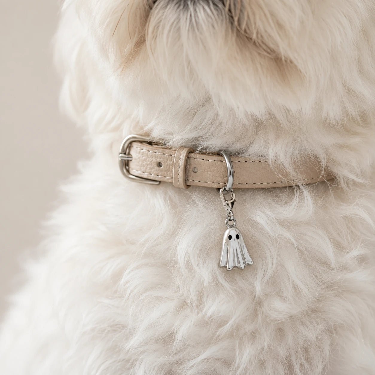 Ghost Silver Charm - PawPaw Palace - 