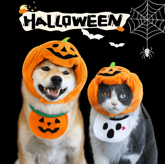 Halloween Pumpkin Hat & Ghost Bib Set for Cats and Dogs - PawPaw Palace - 