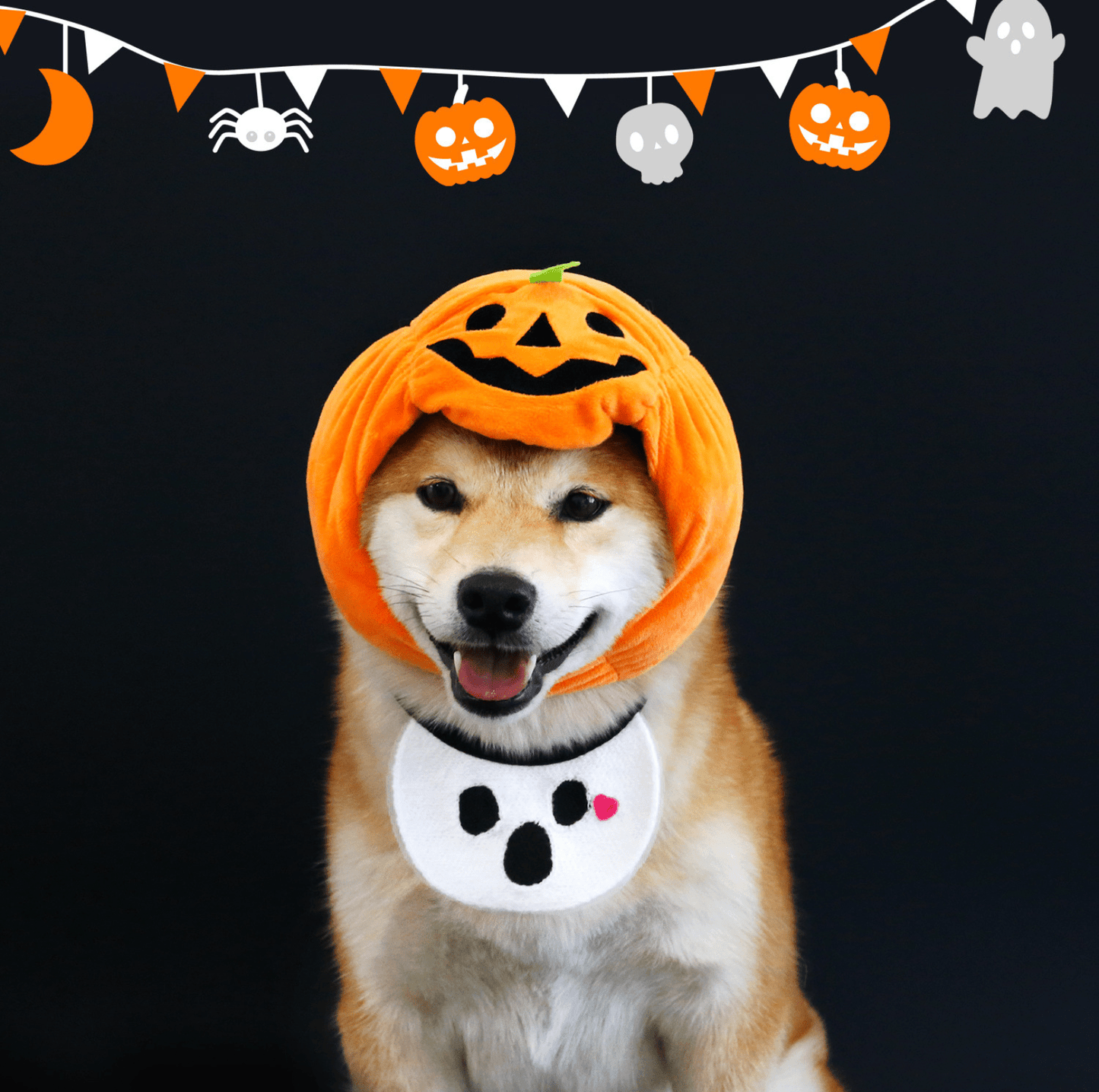 Halloween Pumpkin Hat & Ghost Bib Set for Cats and Dogs - PawPaw Palace - 