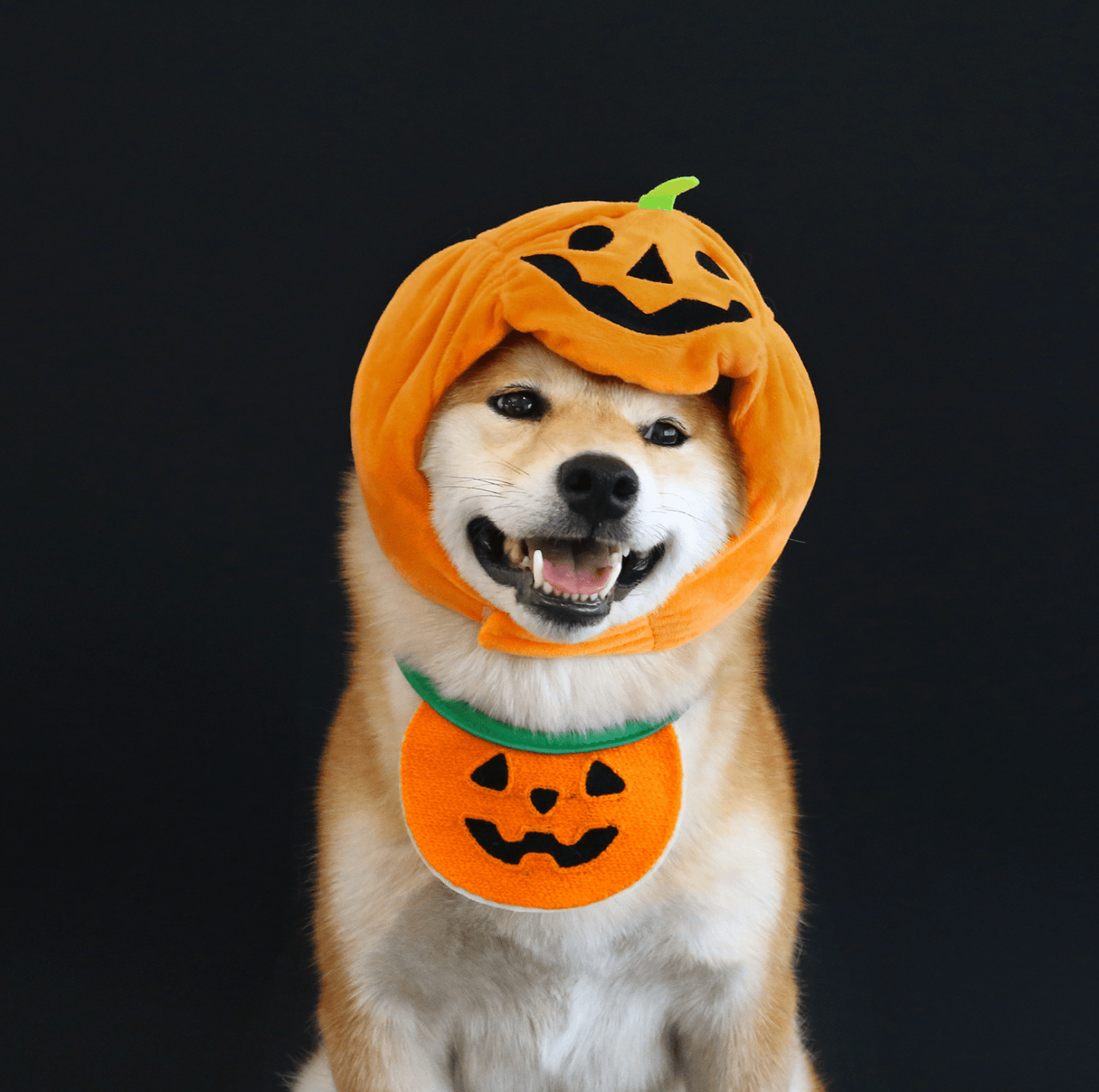 Halloween Pumpkin Hat & Ghost Bib Set for Cats and Dogs - PawPaw Palace - 