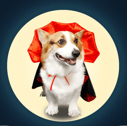 Halloween Vampire Cape for Cats and Dogs - PawPaw Palace - PHA3535S-1