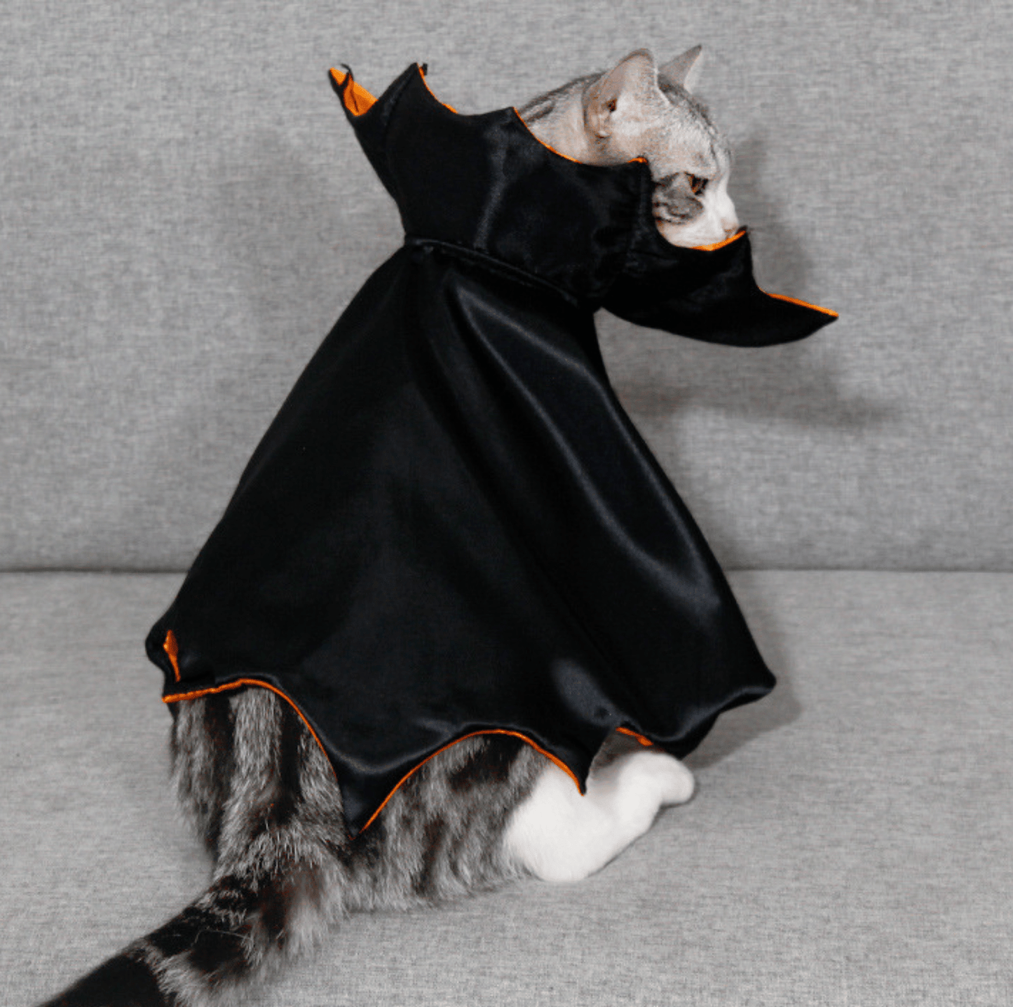 Halloween Vampire Cape for Cats and Dogs - PawPaw Palace - PHA3535S-1