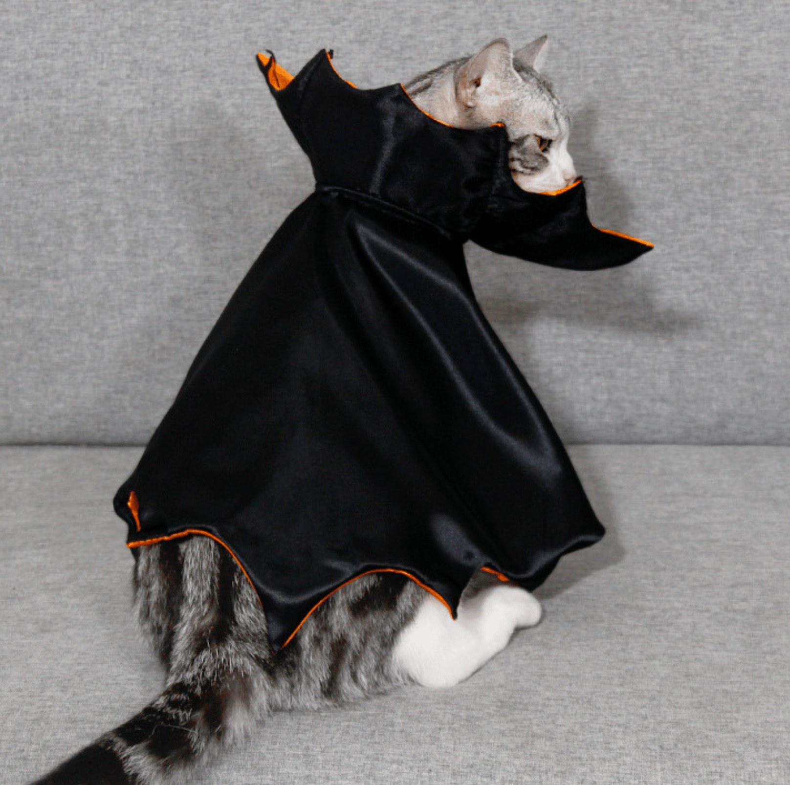 Halloween Vampire Cape for Cats and Dogs - PawPaw Palace - PHA3535S-1