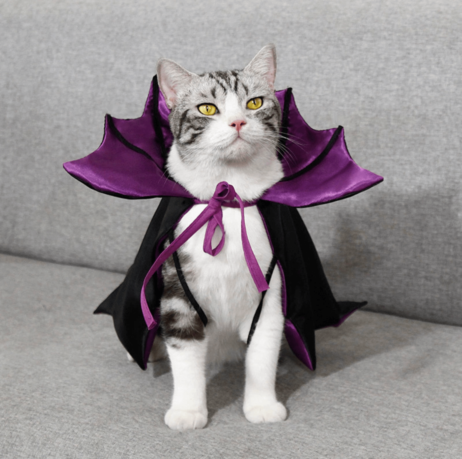 Halloween Vampire Cape for Cats and Dogs - PawPaw Palace - PHA3535S-1