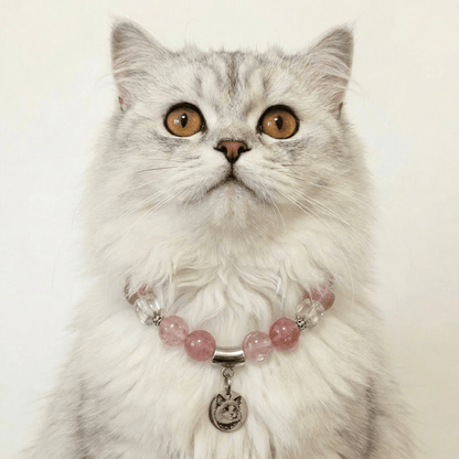 Healing Crystal Collar for Pets - PawPaw Palace - 