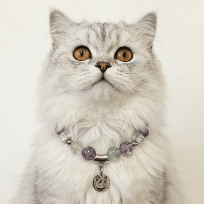 Healing Crystal Collar for Pets - PawPaw Palace - 