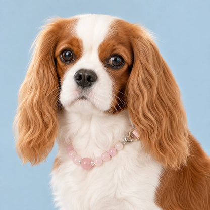 Healing Crystal Pet Collar for Dogs and Cats - PawPaw Palace - 