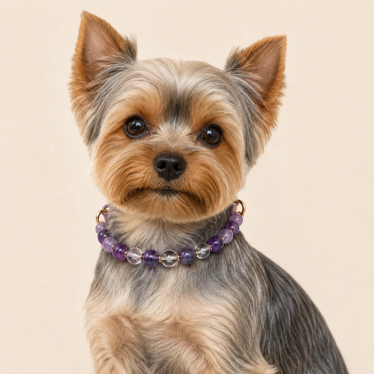 Healing Crystal Pet Collar for Dogs and Cats - PawPaw Palace - 