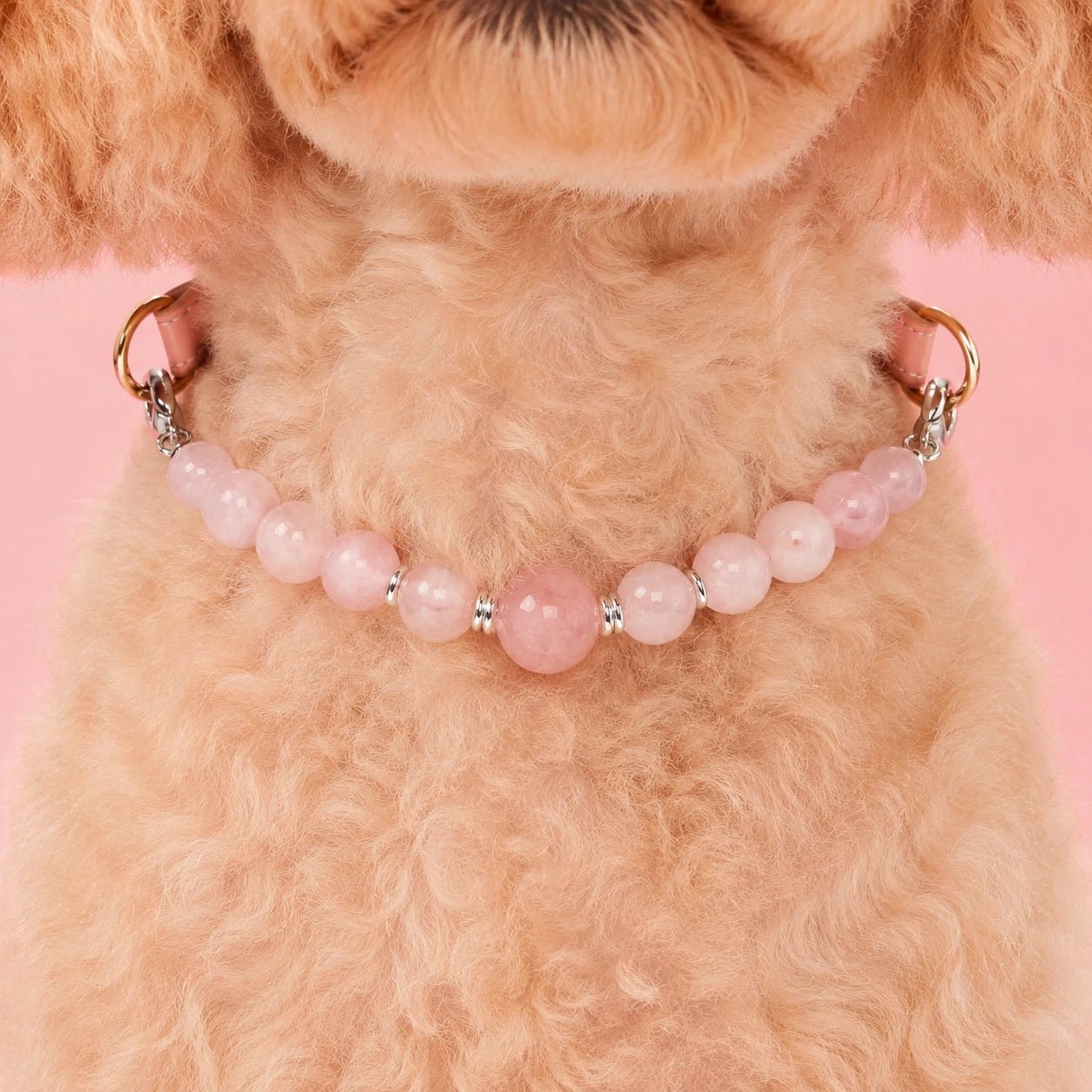 Healing Crystal Pet Collar for Dogs and Cats - PawPaw Palace - 