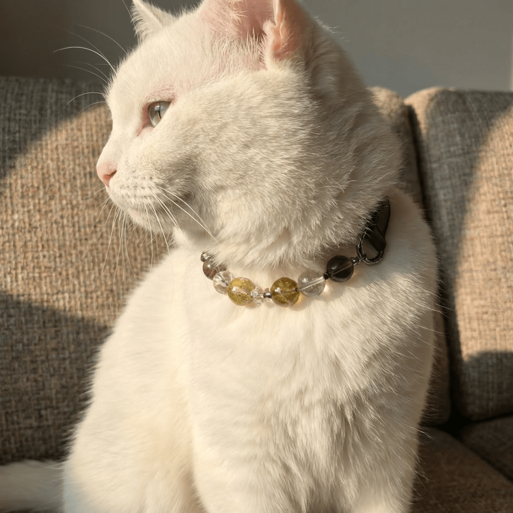 Healing Crystal Pet Collar with DIY Charm – Necklace for Dogs & Cats - PawPaw Palace - 