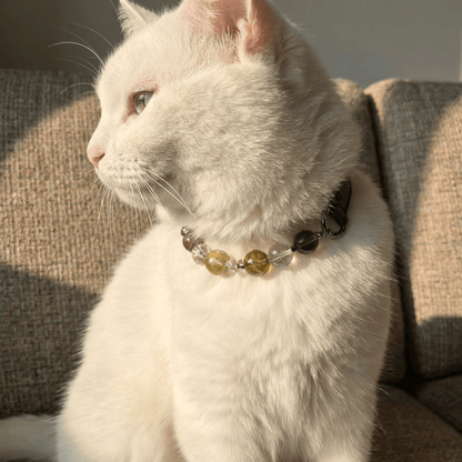 Healing Crystal Pet Collar with DIY Charm – Necklace for Dogs & Cats - PawPaw Palace - 