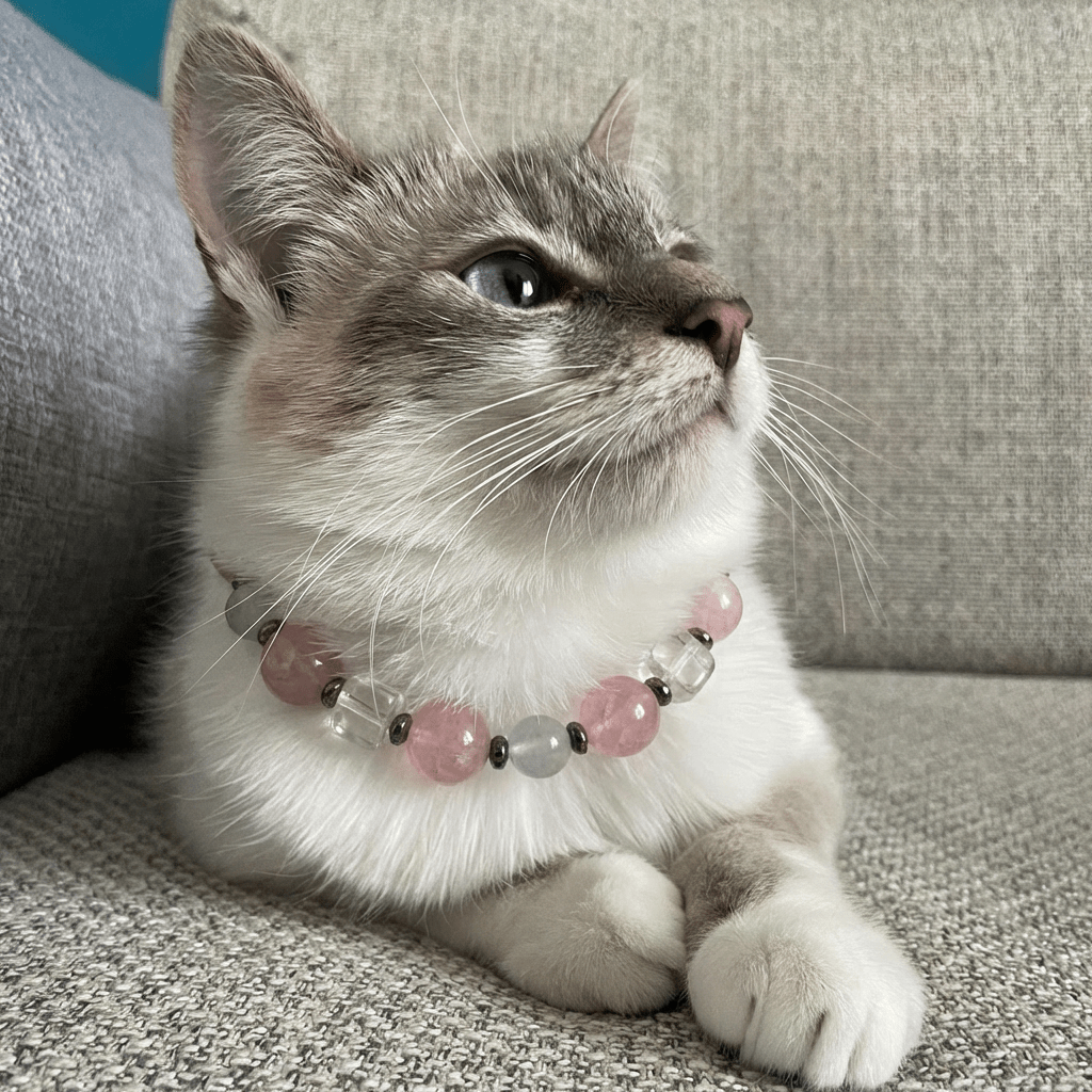 Healing Crystal Pet Collar with DIY Charm – Necklace for Dogs & Cats - PawPaw Palace - 