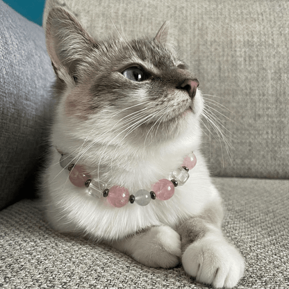 Healing Crystal Pet Collar with DIY Charm – Necklace for Dogs & Cats - PawPaw Palace - 